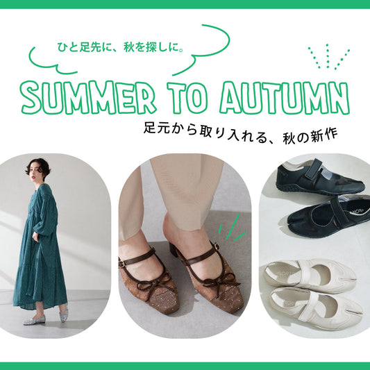 Summer to Autumn